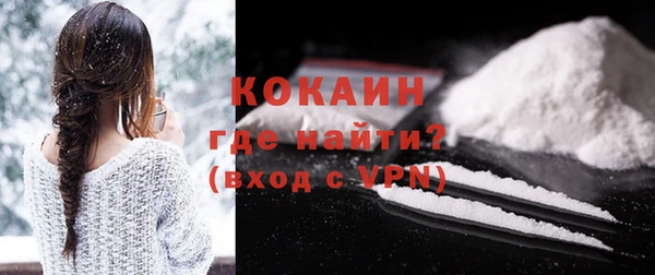 дживик Абаза