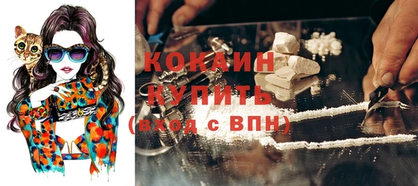 дживик Абаза