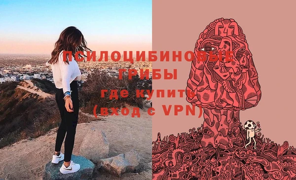 дживик Абаза