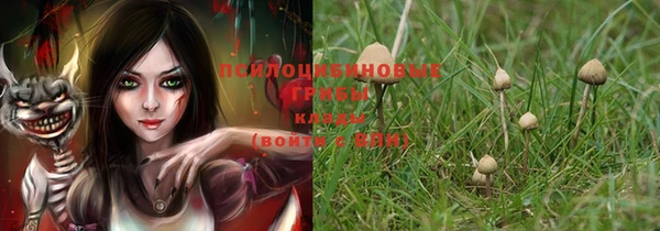дживик Абаза