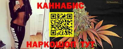 амф Кандалакша