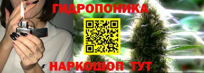 амф Кандалакша