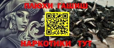 амф Кандалакша