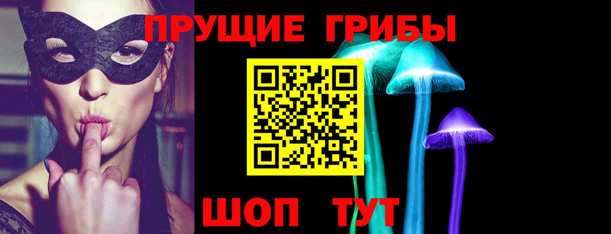 Галлюциногенные грибы Psilocybe  Вход с VPN  Фурманов 